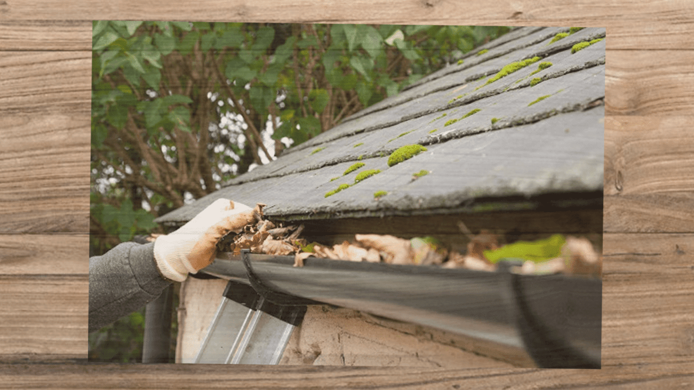 eavestrough cleaning